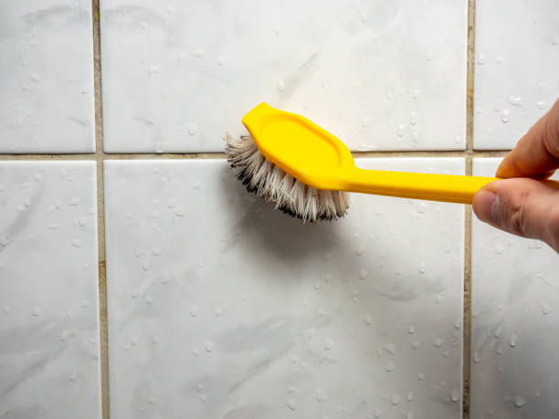 Best Commercial Mold Removal  in Gantt, SC