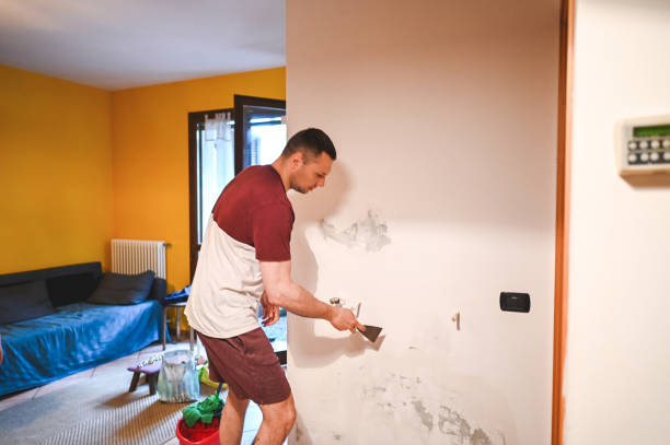 Best Same-Day Mold Removal  in Gantt, SC